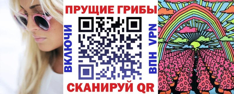 как найти закладки Рыбное Псилоцибиновые грибы MAGIC MUSHROOMS